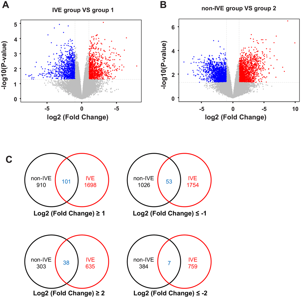 Analysis of DEGs in non-IVE and IVE groups compared with their paired normal groups. (A) Volcano plot of DEGs between the IVE and paired group 1. (B) Volcano plot of DEGs between IVE and paired group 2. For (A, B), Genes significantly up-regulated are highlighted in red while down-regulated genes are highlighted in blue. The P-value threshold and cutoff of absolute fold change were 2, respectively. (C) Venn diagrams indicating the number of DEGs in each group and common DEGs. IVE, IVE group versus paired group 1; non-IVE: non-IVE group versus paired group 2.