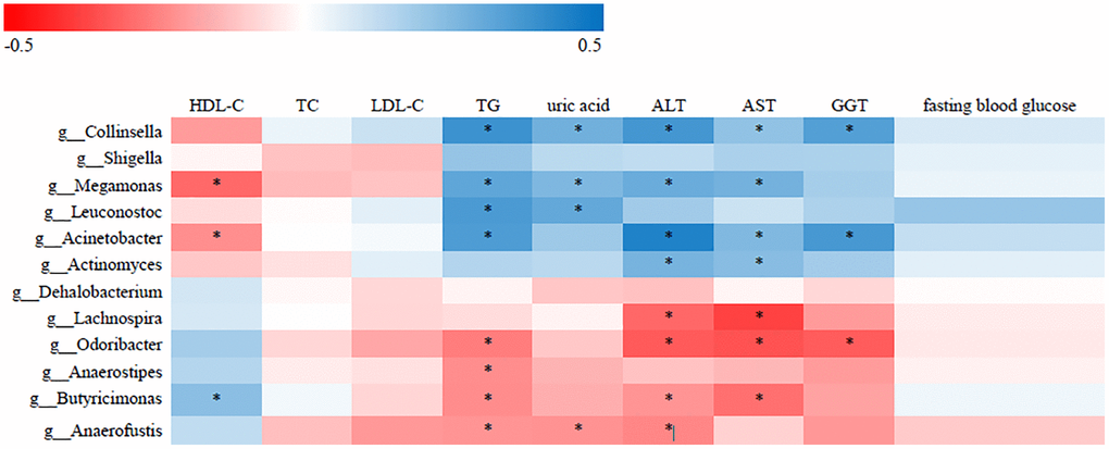 Correlative relationships between discriminatory gut microbiota and clinical indices. X-axis: clinical indices; Y-axis: genus; color scale represents Spearman’s correlation coefficient; red denotes strong negative correlations; blue denotes strong positive correlations; *P 
