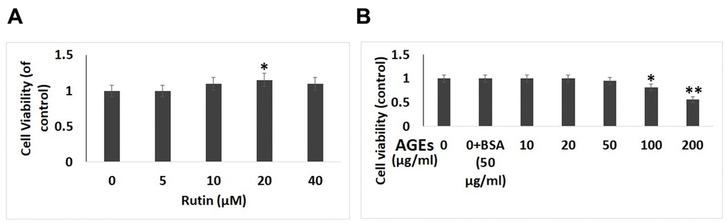 Effect of AGEs and Rutin on viability of chondrocytes. (A) Effect of various concentrations of Rutin on viability of chondrocytes. (B) Effect of exposure of AGEs on cell viability at various concentrations. The results are mean ± SD. *P