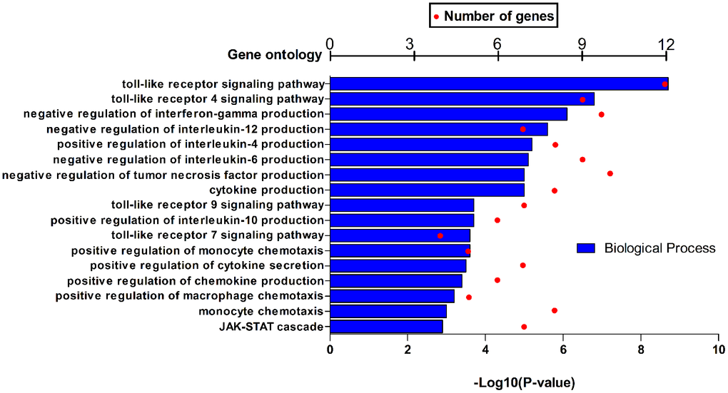GO function annotations (biological process) for HPSE and target genes in BRCA in DAVID.