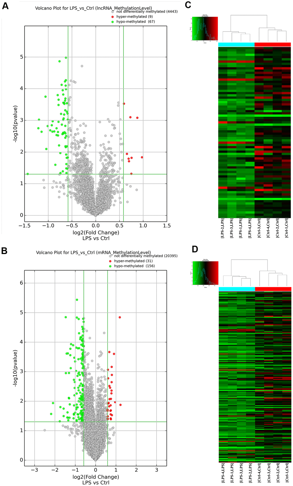 Overview of the m6A methylation map in aortic tissues. (A) Scatter plots showing differentially methylated lncRNAs. (B) Scatter plots showing differentially methylated mRNAs. (C) Hierarchical clustering analysis of lncRNAs with significantly altered m6A levels. (D) Hierarchical clustering analysis of mRNAs with significantly altered m6A levels. Ctrl, control.