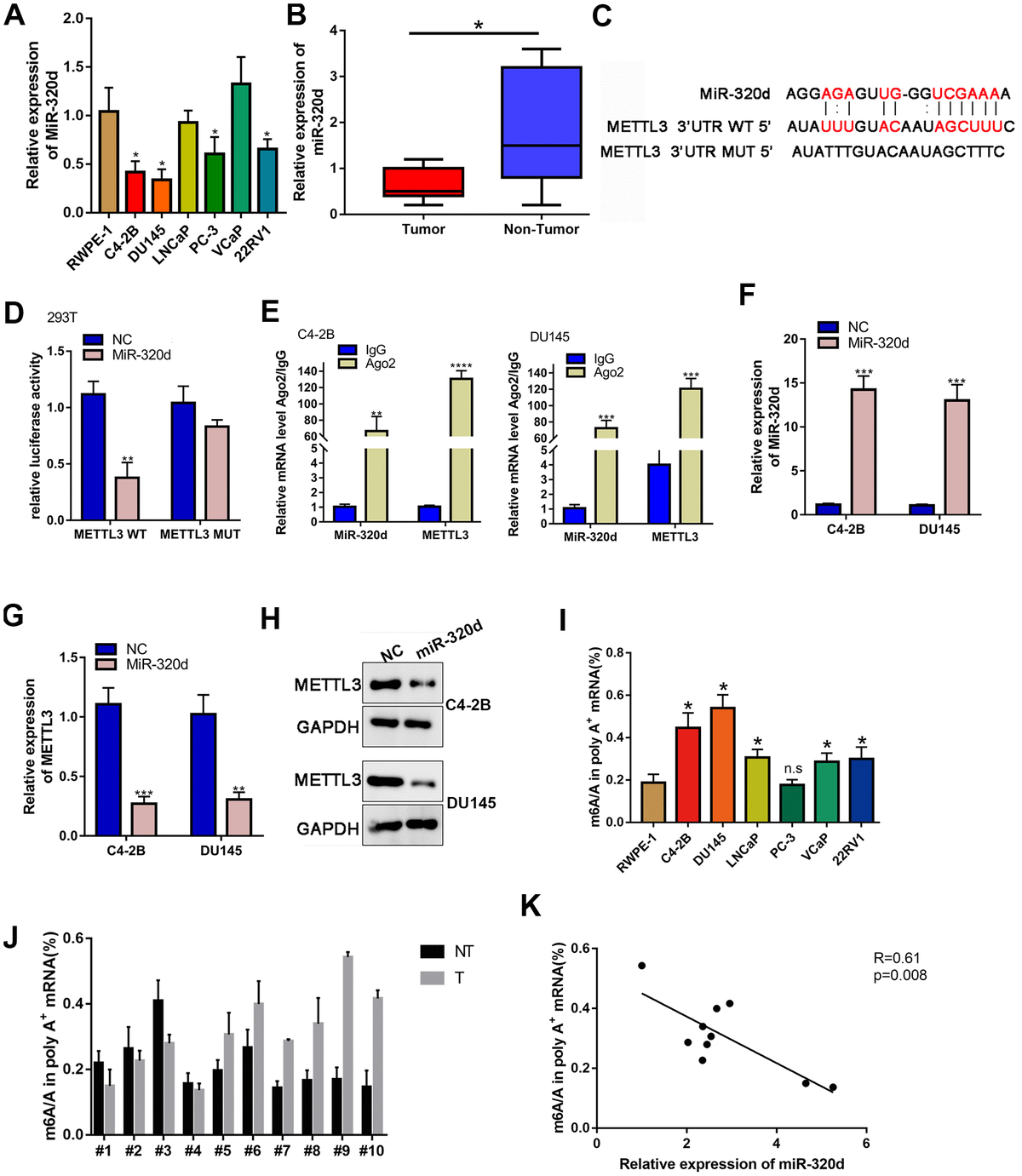 METTL3-mediated M6A Modification Of KIF3C-mRNA Promotes Prostate Cancer ...