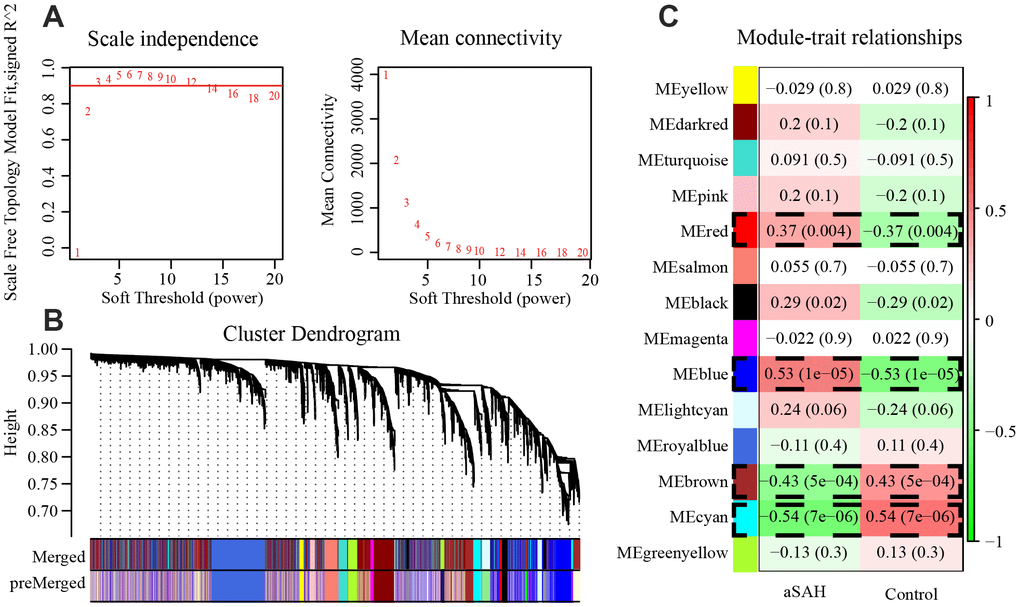 4 modules were selected by WGCNA. (A) The panel shows analysis of the scale-free fit index and mean connectivity for various soft-thresholding powers (β). (B) Genes with the highest median absolute deviation enriched modules in co-expression network, 20 co-expression cluster were identified after merging the high related modules with cutoff value 0.2. (C) Correlation between each module and phenotype. Among the modules, red (P = 0.004), blue (P = 1e-05), brown (P = 5e-04) and cyan (P = 7e-06) showed closely associated with aSAH (P 