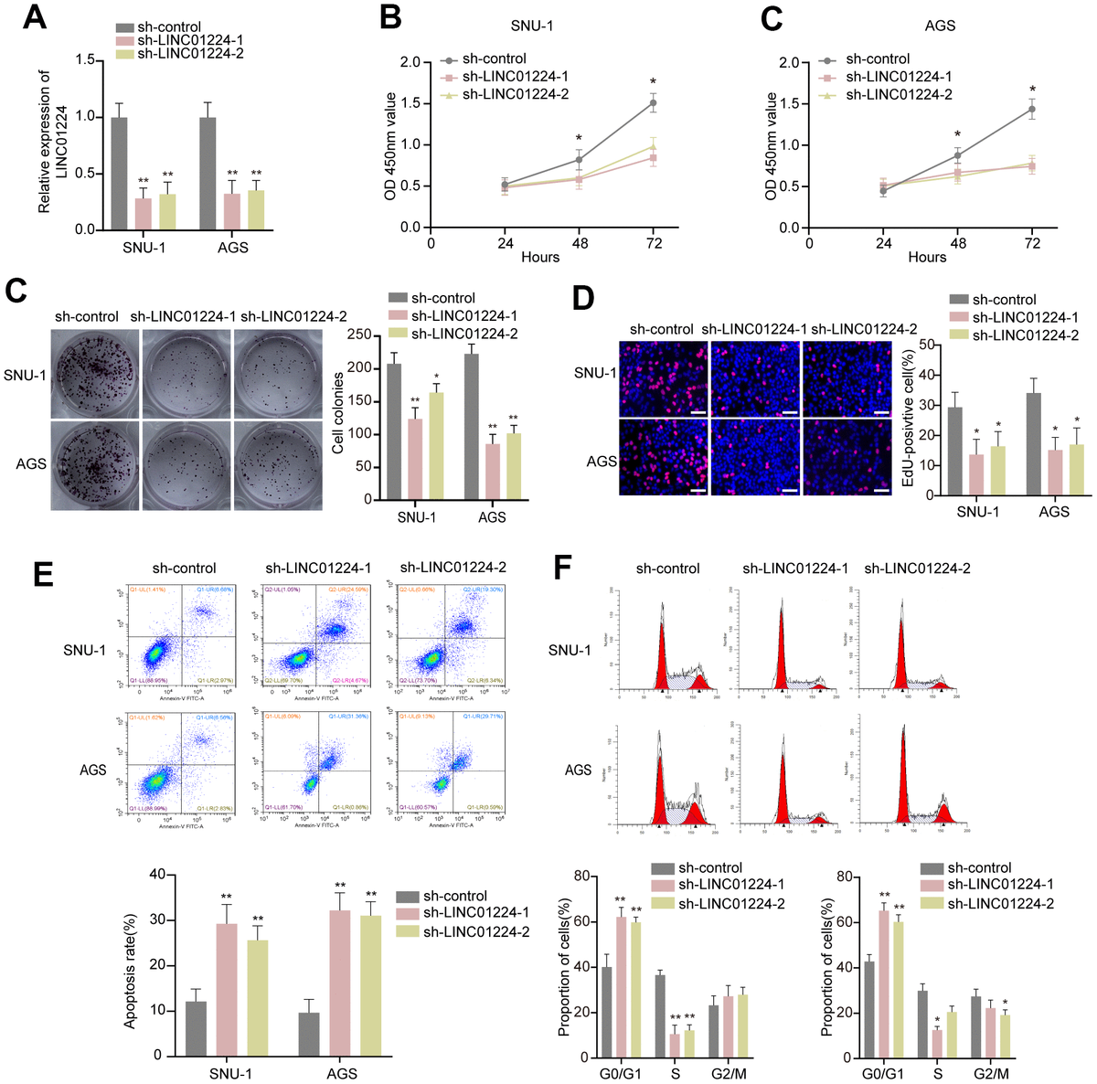 LINC01224 promotes gastric cancer development via miR-193a-5p/YES1 ...