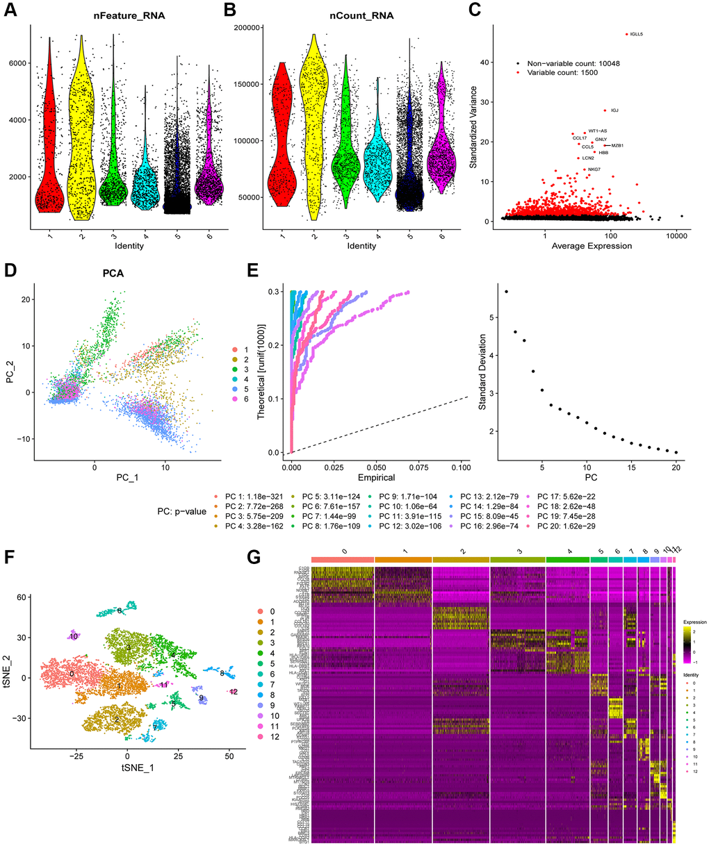 Heterogeneity in patients with ovarian cancer (OC) was identified using single-cell RNA-seq data. (A and B) A total of 9,609 cells from six OC patients were included in the analysis. (C) Scatter plots displayed 10,048 corresponding genes in all cells from OC samples. (D) The principal component analysis (PCA) revealed unclear separations of OC cells. (E) The first 20 principal components with a p-value F) OC cells were categorized into 13 clusters using the tSNE algorithm with the first 20 principal components. (G) The heatmap shows the top 10 differential marker genes of each cluster. A total of 124 unique genes were identified after removing the same marker genes among the clusters.