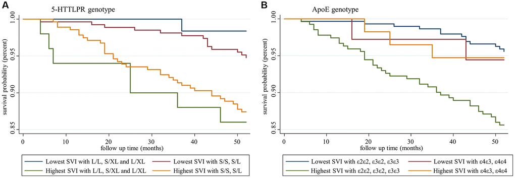 Survival analysis of participants with different social vulnerability index and genotype statuses. (A) Social vulnerability index and 5-HTTLPR genotypes, and (B) social vulnerability index and ApoE genotypes.
