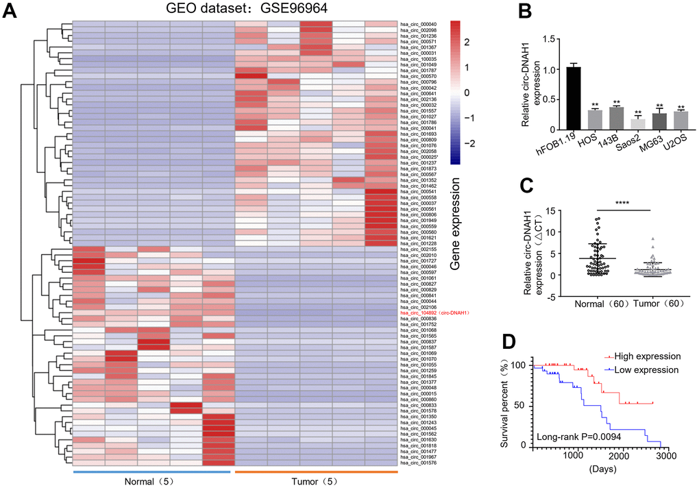 Circular Rna Circgramd1b Inhibits Gastric Cancer Progression By