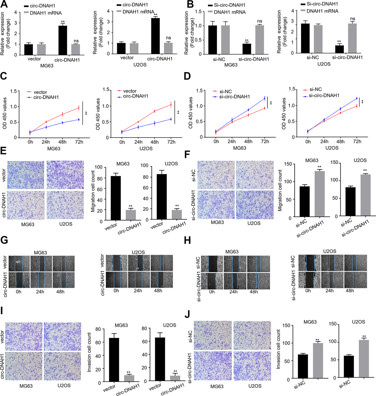 A Novel Circular Rna Dnah1 Inhibits Osteosarcoma Progression By