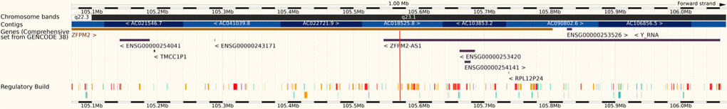 Rs6993770 (red stripe) is located on the intron 4 of the ZFPM2 gene (8q23.1).