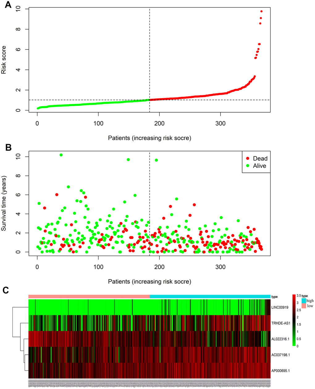 LncRNA predictive risk-score analysis of GC patients in TCGA database (The black dotted line represents the median signature cut-off dividing patients into low- and high-risk groups). (A) LncRNA risk score distribution in low- and high-risk groups (The green dots represent the low-risk patients, and red means the high-risk group). (B) The survival status and time of GC patients in low- and high-risk groups (The green dots represent alive, and red means dead). (C) Heatmap of the five-lncRNA expression profiles in GC patients.