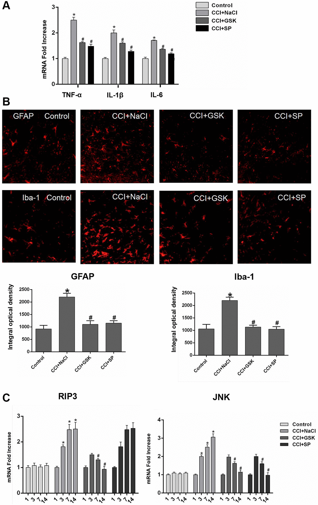 The mRNA expressions of inflammatory cytokines, RIP3 and JNK in the lumbar spinal cords of CCI rats with qRT-PCR. (A) The mRNA expressions of TNF-α, IL-1β and IL-6 in the lumbar spinal on 14th day after CCI. (B) The expression of GFAP and Iba-1 in lumbar spinal cord by immunofluorescence on 14 days after CCI. (C) The mRNA levels of RIP3 and JNK in the lumbar spinal on 1 day before CCI and 3, 7, and 14 days after CCI. Data are presented as mean SD (n = 8). *P #P 