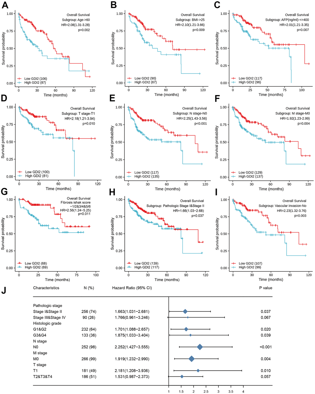 Prognostic impact of clinical subtypes associated with GDI2 expression in HCC patients. (A–I) High GDI2 expression was associated with poor outcomes on overall survival (OS) in HCC patients of a TCGA cohort with clinicopathological indicators as: (A) Age>60; (B) BMI>25; (C) AFP(ng/ml)D) T1 Stage; (E) N0 Stage; (F) M0 Stage; (G) Fibrosis ishak score-1/2&3/4&5/6; (H) Pathologic Stage I&II; and (I) No Vascular invasion. Blue: high GDI2; Red: low GDI2. *P **P J) Forest map illustrated subtypes of clinicopathological features associated with GDI2 expression for HCC prognosis. *P **P 