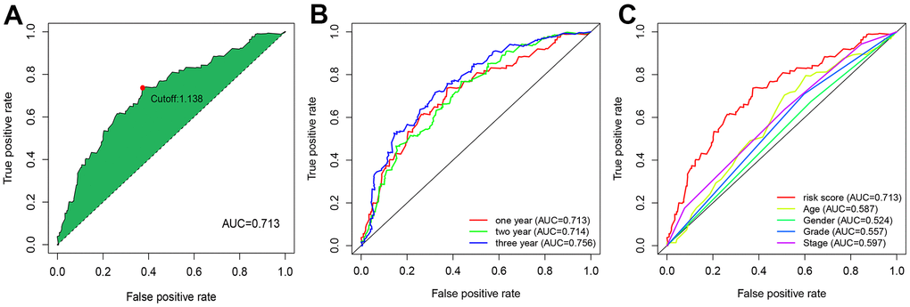 ROC curve analysis revealed moderate accuracy of the risk model in prognosis prediction. (A) Accuracy of the risk model in predicting the overall survival of GC patients. (B) Accuracy of the risk model in predicting 1-, 2-, and 3-year overall survival of GC patients. (C) Comparison of the prediction accuracy of the risk model with clinicopathological features, such as age, sex, and pathological grading.