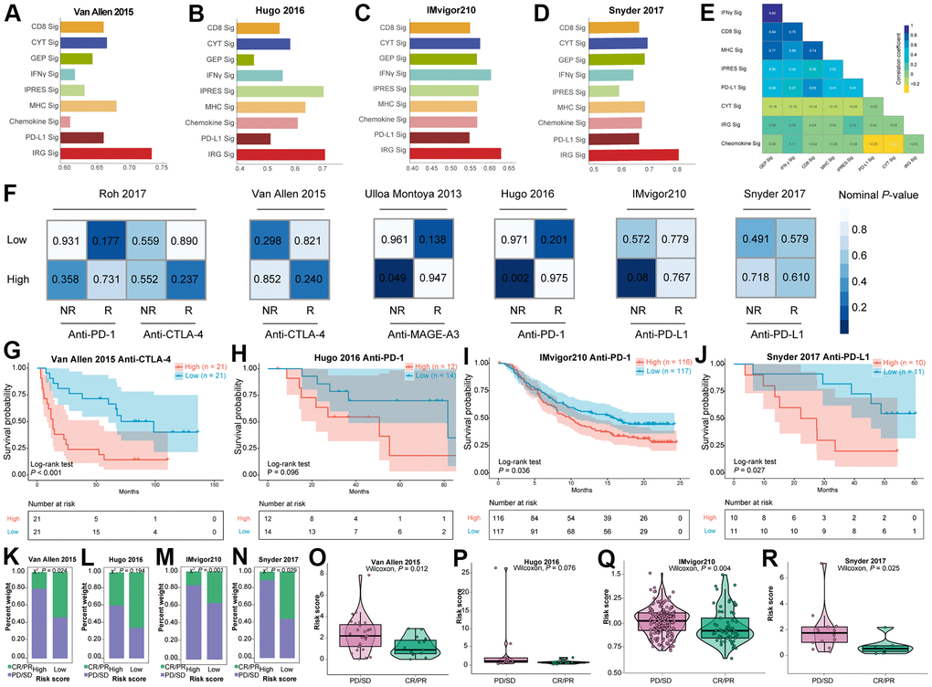 Violin plots of mean total sum of ROH longer than 1 Mb (in Gb