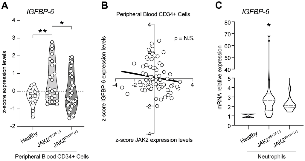 IGFBP-6 was modulated in PMF patients. (A) z-score expression levels of IGFBP-6 in healthy, JAK2 wild type, and JAK2V617F mutant PMF patients. (B) Correlation analysis between IGFBP-6 and JAK2 expression levels in the PMF patients. (C) mRNA expression of IGFBP-6 in neutrophils of PMF patients. * p
