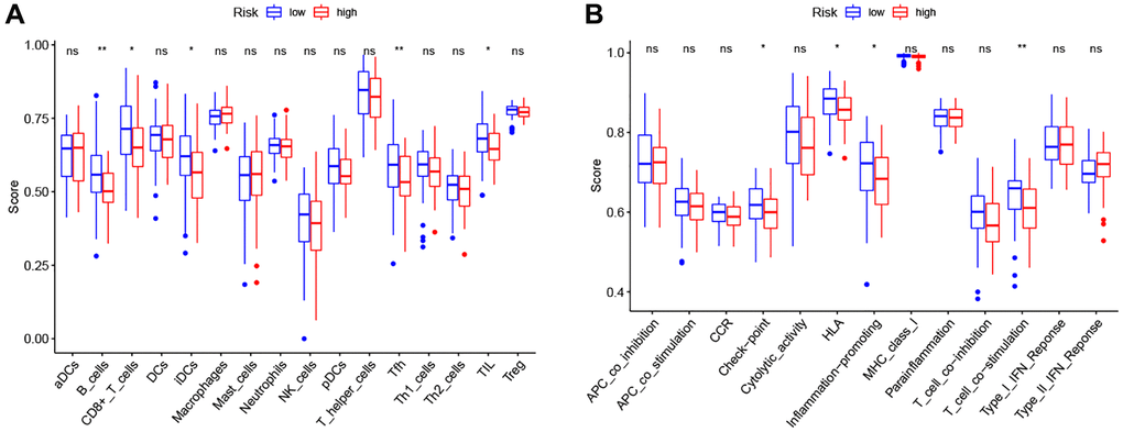 Comparison of the ssGSEA scores between high- and low-risk groups. (A) The scores of 16 immune cells. (B) The scores of 13 immune-related functions. Adjusted P-values were showed as: ns, not significant; *P **P ***P 