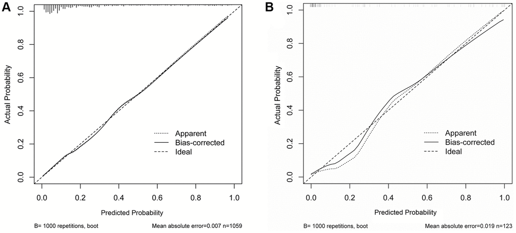 The calibration curves of nomogram in prewarning the severe infection occurrence. Nomogram predicted severe type risk was plotted on x-axis, the actual disease progression probability was plotted on y axis. (A) Training cohort; (B) Validation cohort.