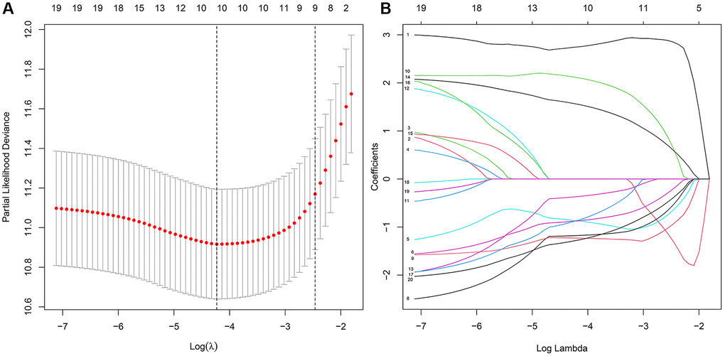 The key features were identified using LASSO regression. (A) Selection of the optimal parameter (lambda) via 5 times cross–validation. (B) LASSO coefficient profiles of the top 20 prognosis-related APA events.