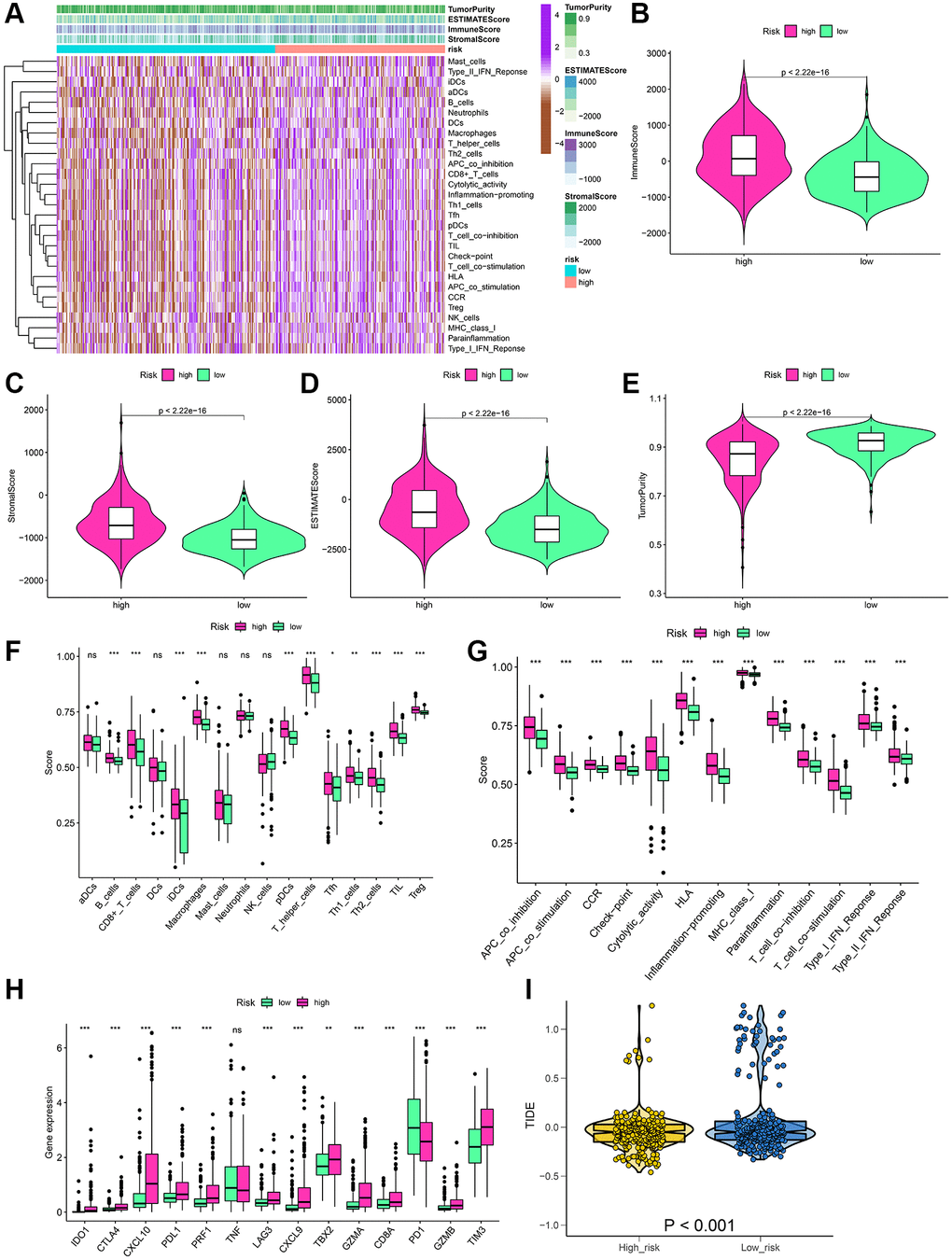 Estimation of the immune status and response to immunotherapy based on the signature in the high-risk and low-risk groups for the whole set. (A) Heatmap of the immune scores, stromal scores, tumor purity, ESTIMATE scores and immune-infiltrating cells in the two groups. (B–E) Violin plots for the immune scores, stromal scores, ESTIMATE scores, and tumor purity. (F–H) Boxplots of immune cells scores, immune-related functions scores and immune checkpoints expression. (I) Prediction of immunotherapy response according to TIDE score. *P **P ***P 