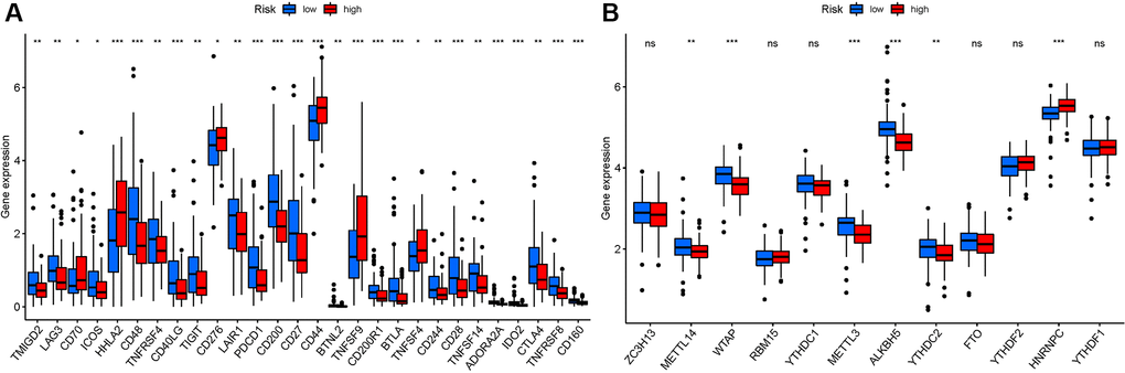 Analysis of the correlation of NRGs. (A) ICRGs in PAAD risk groups. (B) m6A-NRG in PAAD risk groups.