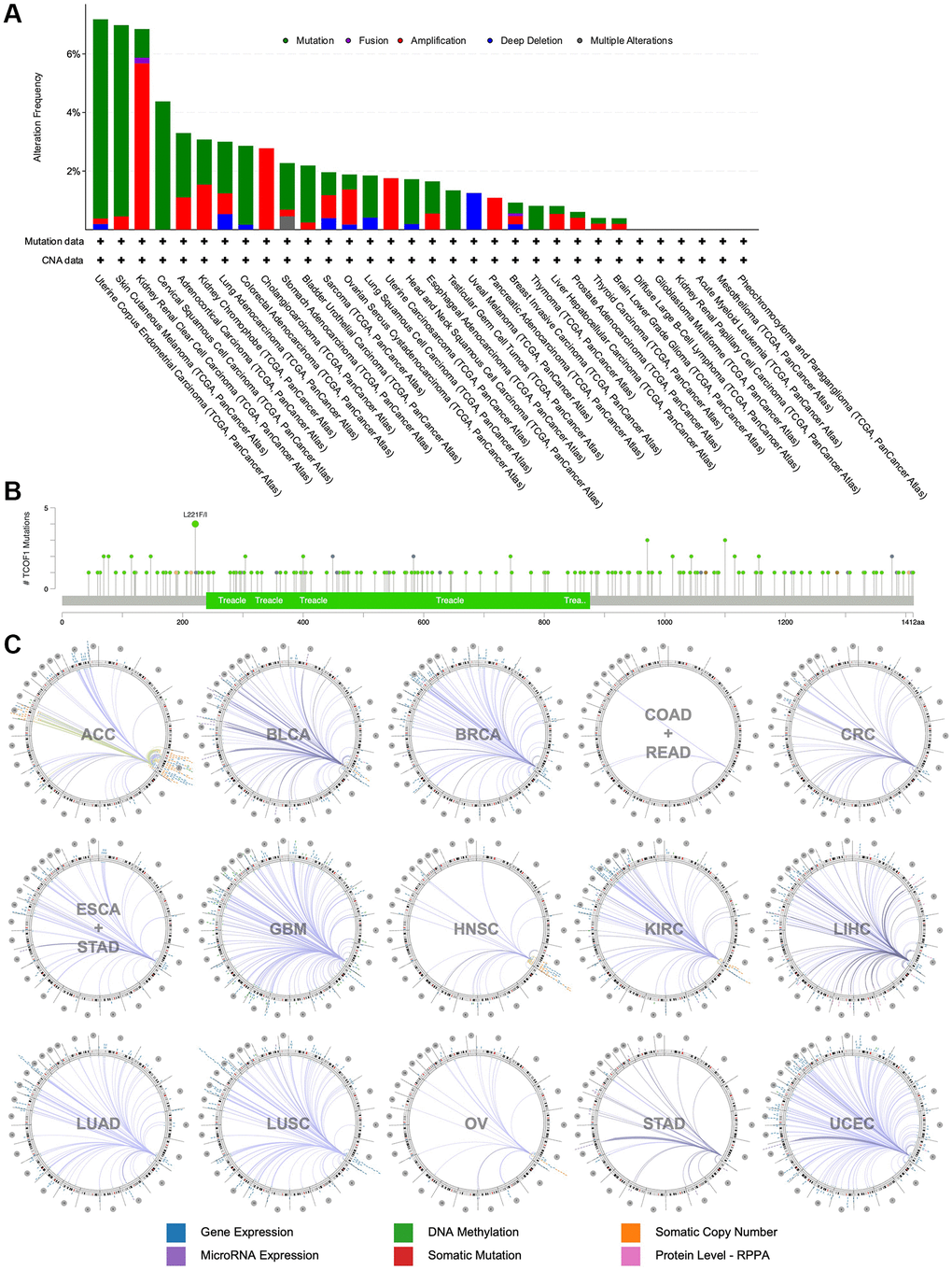 Mutational landscape and genome-wide association of TCOF1. (A) Alternation types and frequency of TCOF1 in different types of cancer. (B) Mutation sites of TCOF1 across cancers. (C) The genome-wide correlation between TCOF1 and other signatures from TCGA, visualized using Regulome Explorer.
