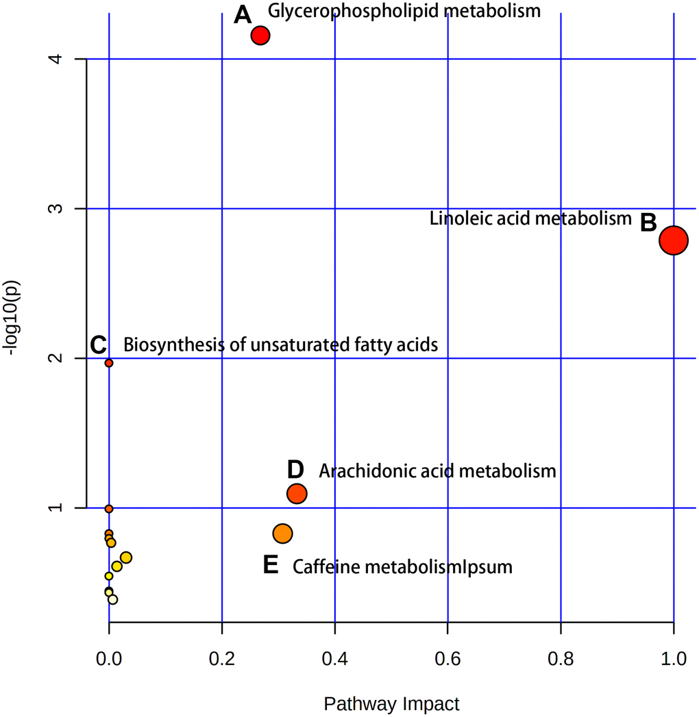 The enriched pathway analysis of metabolites. There are five metabolic pathways with significant changes: (A) Glycerophospholipid metabolism; (B) Linoleic acid metabolism; (C) Biosynthesis of unsaturated fatty acids; (D) Arachidonic acid metabolism; (E) Caffeine metabolism.