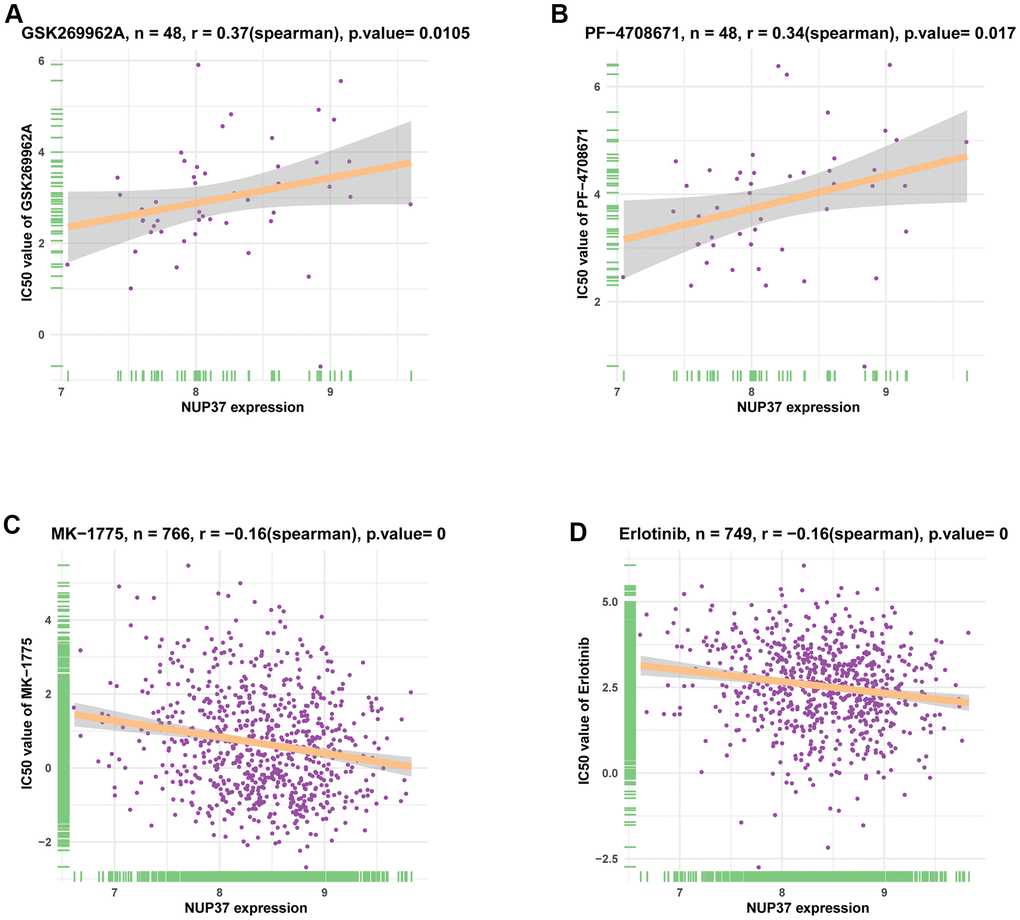 The correlation between NUP37 expression and IC50 values of anti-cancer drugs. (A–D) The correlation between NUP37 expression and IC50 values of indicated anti-cancer drugs.