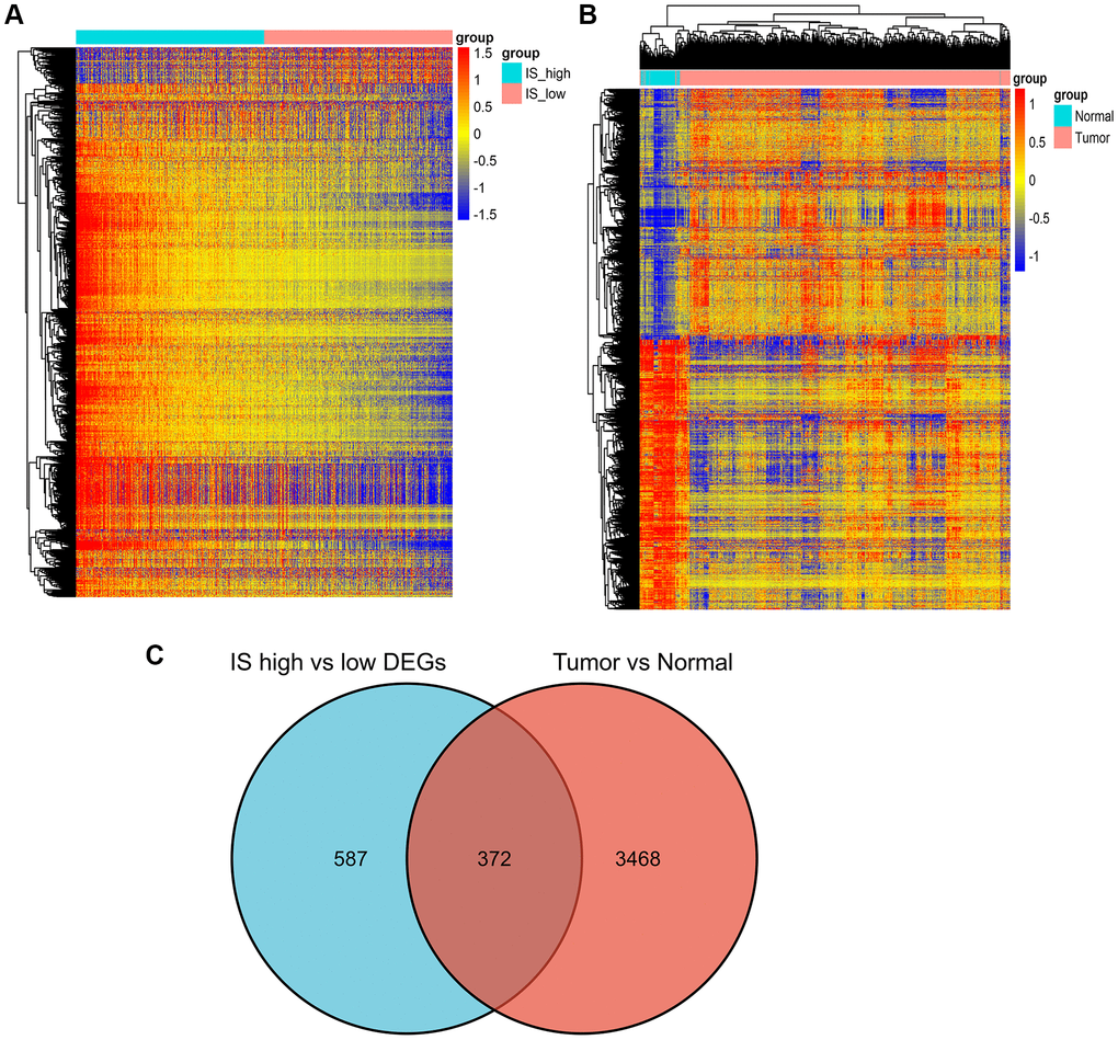 Screening of differently expressed genes. (A) Heatmap of DEGs for the high/low immune score groups. (B) Heatmap of DEGs for the BRCA/normal groups. (C) Commonly changed DEGs in the immune score and BRCA groups.