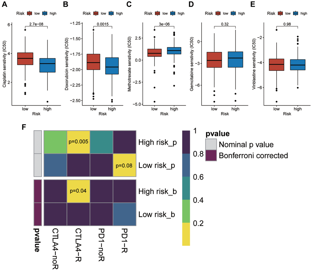 Prediction of the sensitivity of high risk patients to chemotherapy drugs and immunotherapy. (A) Cisplatin. (B) Doxorubicin. (C) Methotrexate. (D) Gemcitabine. (E) Vinblastine. (F) Immune checkpoint receptor: PD1-R, PD1-noR, CTLA4-R, ctal4-noR.