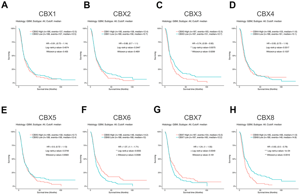 Prognostic value of CBXs transcript levels in GBM. (A–H) Relationships between mRNA expression levels of eight CBX members and the prognosis of patients with GBM. Analyses were conducted using the GlioVis.