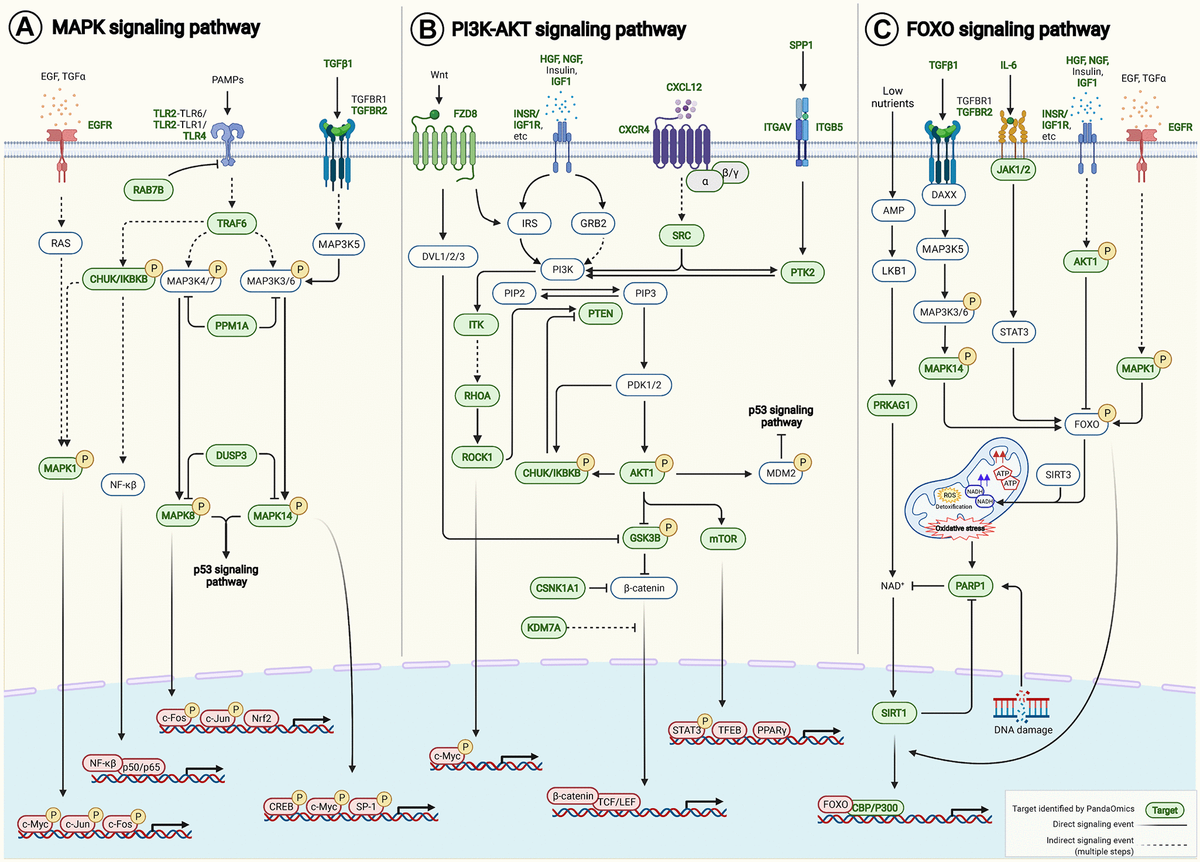 Hallmarks of aging-based dual-purpose disease and age-associated ...