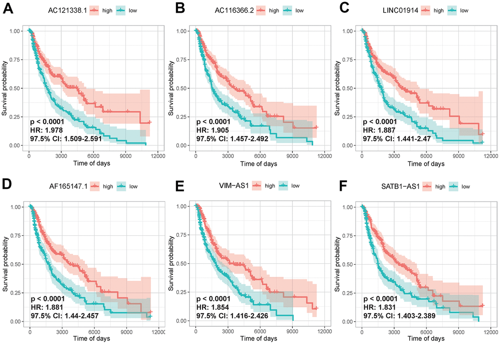 Univariate Cox regression analysis of lncRNAs in key modules. The K-M curves of the first 6 lncRNAs that were significantly correlated with disease prognosis, AC121338.1 (A), AC116366.2.C (B), LINC01914 (C), AF165147.1 (D), VIM-AS1 (E), SATB1-AS1 (F). High and low expression was shown in red and green, respectively.