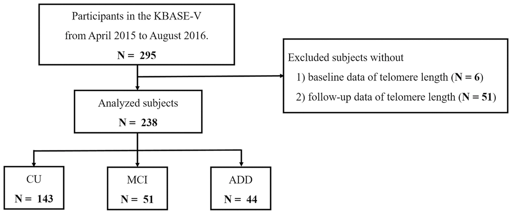 Flowchart of the analyzed subjects. Abbreviations: KBASE-V: Korea Brain Aging Study for the Early Diagnosis and Prediction of Alzheimer’s Disease; CU: cognitively unimpaired; MCI: mild cognitively impaired; ADD: Alzheimer’s disease dementia.