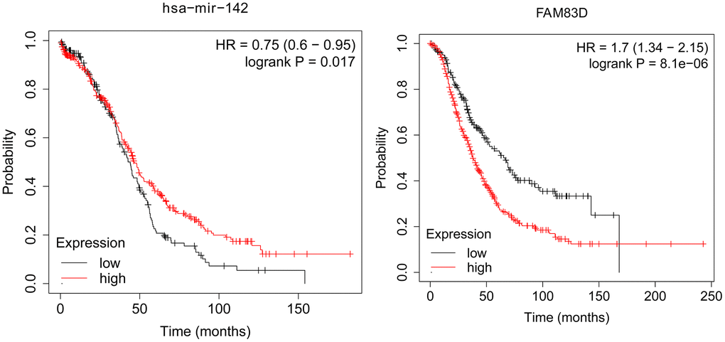The association between the expression level of selected genes and overall survival of OC patients.