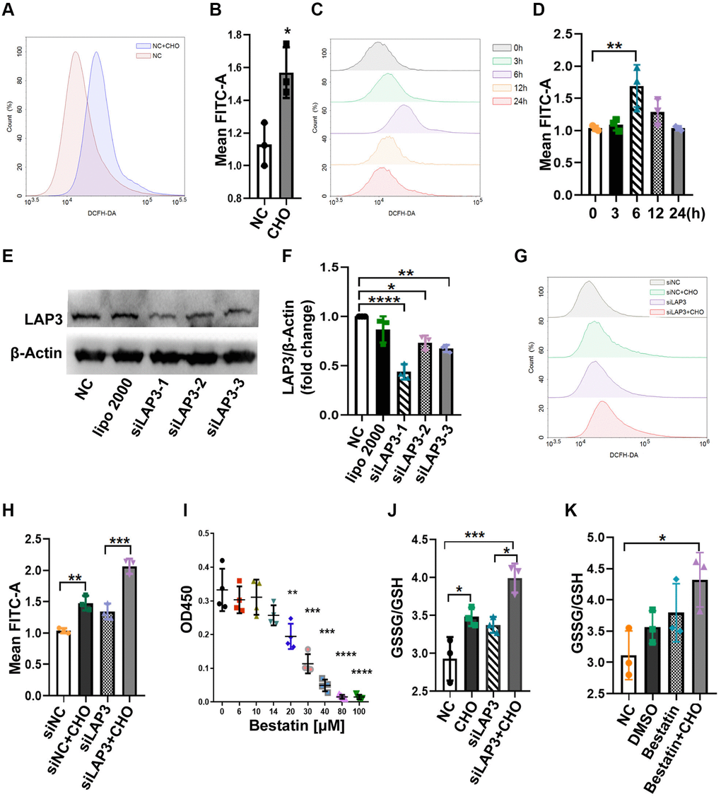 LAP3 upregulation triggered by CHO does not participate in regulation of oxidative stress in LO2 cells. (A and B) Evaluation of the DCFH-DA fluorescence intensity for 150 μM CHO treatment LO2 cell line at 6 h by flow cytometry (A) and normalized with NC group (B). (C and D) Evaluation of DCFH-DA fluorescence intensity at indicated time points in LO2 cell line treated with 150 μM CHO (C) and normalized with 0 h data (D). (E and F) Screening of siLAP3 to knock-down LAP3 expression by western blotting (E) and normalized with β-Actin (F). (G and H) Detection of DCFH-DA for the generation of ROS in LO2 cells after the intervention of lap3 expression by siLAP3 (G) and normalized with vehicle (H). (I) Evaluation of cell viability after treatment of LO2 cell with indicated concentration bestatin, a LAP3 natural inhibitor, for 6 h. (J and K) Determination of GSSG/GSH in LO2 cell line treated with 150 μM CHO and siLAP3-1 (J) or 14 μM Bestatin (K) for 6 h. Data are expressed as means ± SD from three independent experiments. An unpaired t-test and one-way ANOVA were applied to determine the statistical significance with Graphpad Prism 8, *p **p ***p 