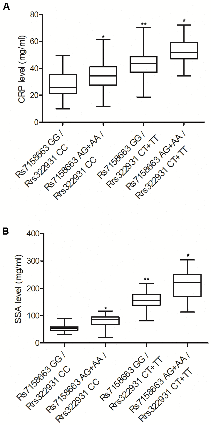 The expressions of CRP (A) and SSA (B) were both progressively elevated in the peripheral blood of Crohn’s disease patients carrying rs7158663 GG/rs322931 CC (N=76), rs7158663 AG+AA/rs322931 CC (N=62), rs7158663 GG/rs322931 CT+TT (N=36), and rs7158663 AG+AA/rs322931 CT+TT (N=32) genotypes (* P value 