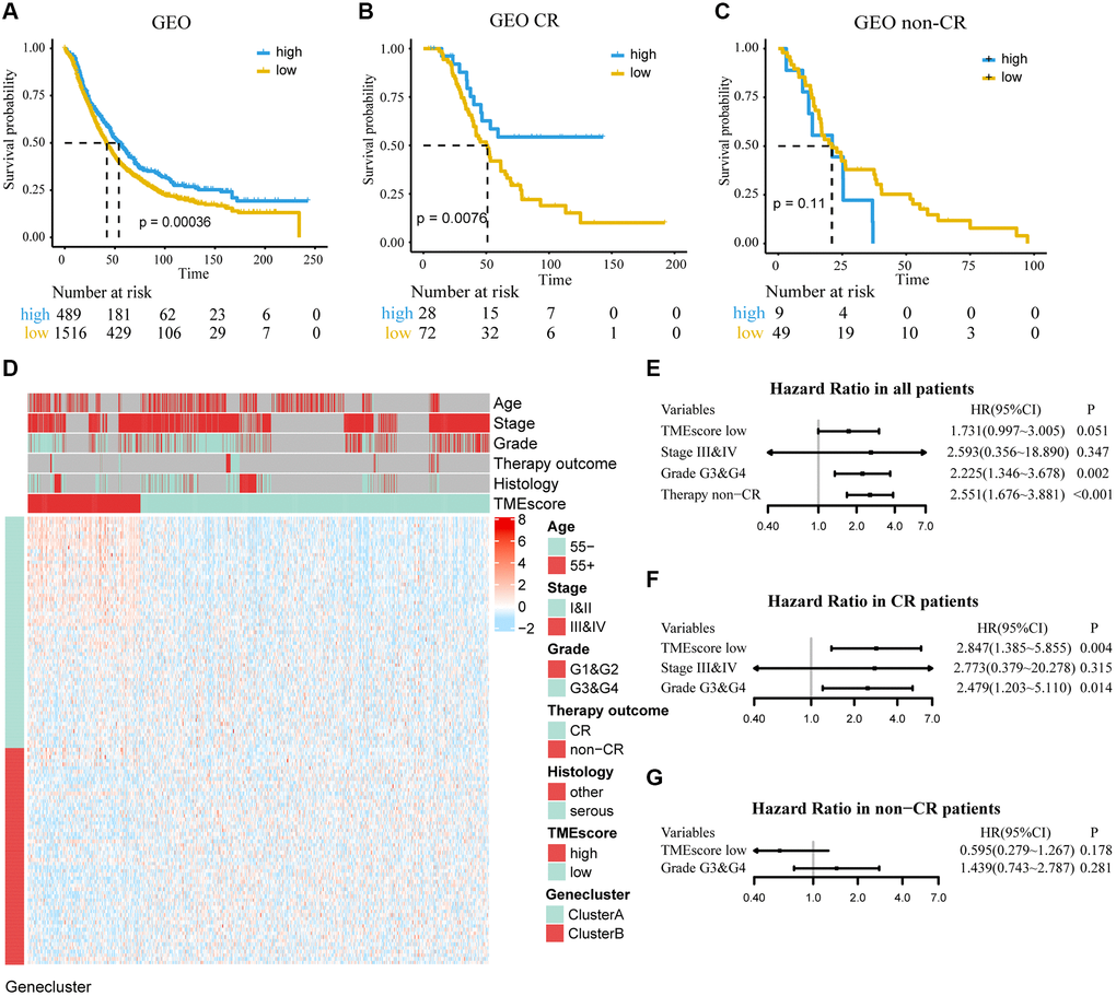Determine the prognostic group of 2005 ovarian cancer patients based on TMEscore in GEO and evaluate the predictive ability. (A) K–M curve for OS of different TMEscore groups (log-rank test, P B, C) According to chemotherapy outcome-stratified analysis (158 ovarian cancer patients), K–M curves in patients with complete response (CR) or non-complete response (non-CR) in different TMEscore group (log-rank test, P = 0.008; log-rank test, P = 0.11). (D) Expression profile of DEGs with survival significance. TMEscore, age, stage, grade, therapy outcome and histology are shown as patient annotations. Top legend, gray indicates missing value. (E–G) Forest plots illustrate the results of multivariate Cox proportional hazards model of clinical feature in all patients, CR patients and non-CR patients respectively.