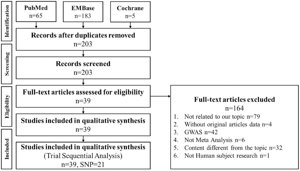 PRISMA flowchart of decisive gene strategy. Literature search results of the PubMed, Embase, and Cochrane databases were compiled and analyzed. Among 203 papers, 164 were excluded as nonrelevant to meta-analysis, and 39 papers were included in this meta-analysis, including 21 gene loci.