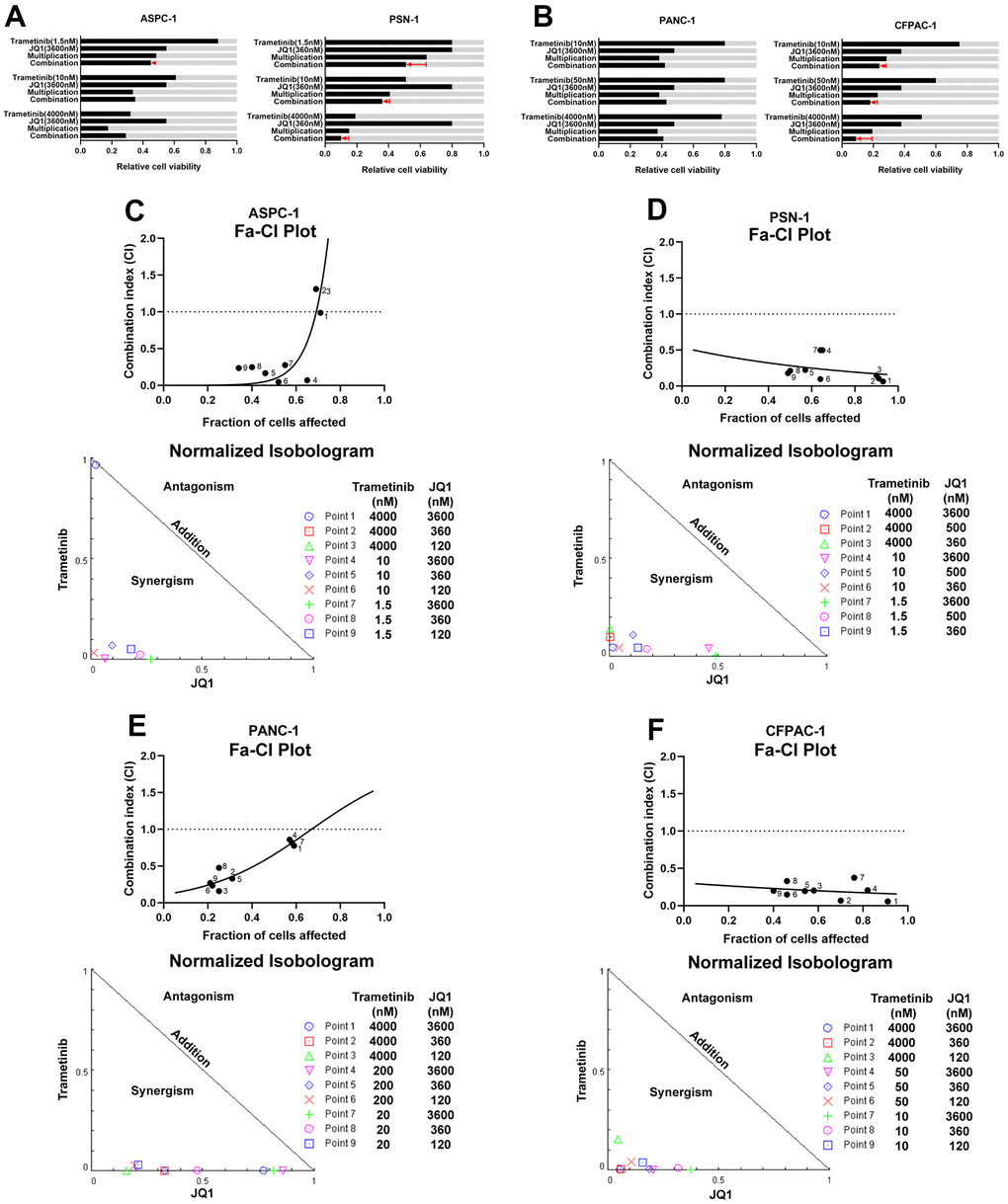 Synergistic effects elicited by combined treatment trametinib and JQ1 in pancreatic cancer. (A) Effect of trametinib and/or JQ1 on the percentage of cells in relative trametinib-sensitive PDAC cell lines (AsPC-1 and PSN-1). Light gray bars show control values. ‘‘Multiplication’’ indicates the expected effect of combined treatment if single-agent effects were multiplied; the red arrow indicates the actual effect of the combination. (B) Effect of trametinib and/or JQ1 on the percentage of cells in relative trametinib-resistant PDAC cell lines (PANC-1 and CFPAC-1). (C–F) Combination index (CI) (top) and isobologram (bottom) analyses reveal the synergistic effect of trametinib and JQ1 not only in trametinib-sensitive PDAC cell lines (AsPC-1 and PSN-1), but also in trametinib-resistant PDAC cell lines (PANC-1 and CFPAC-1). Fraction affected (Fa)-CI plots (top) and normalized isobolograms (bottom) are shown.
