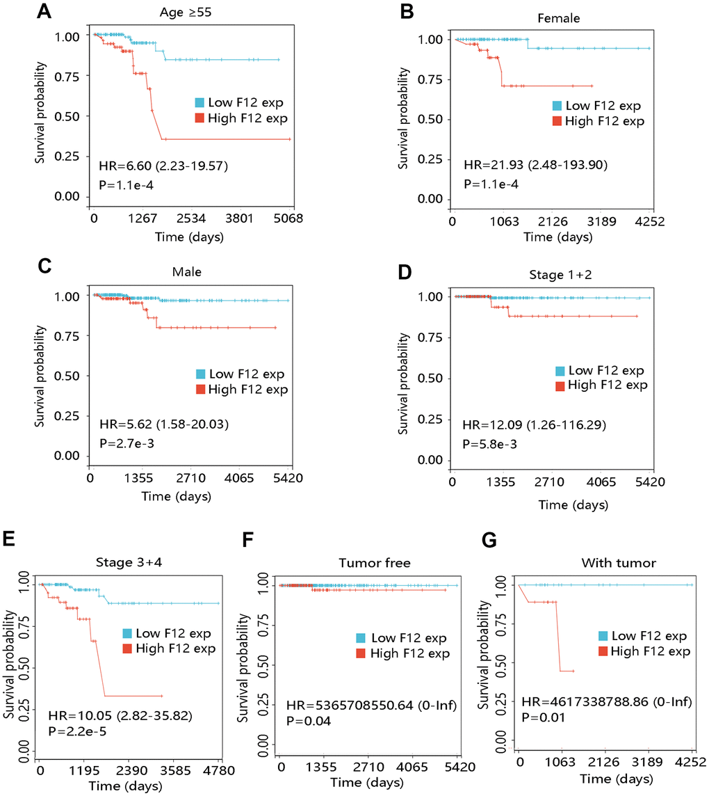 Effect of F12 expression on overall survival of papillary thyroid cancer patients with restricted clinicopathological characteristics. (A) Age ≥55. (B) Female. (C) Male. (D) Stage 1+2. (E) Stage 3+4. (F) Tumor free. (G) With tumor.