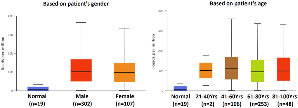 Expression of hsa-mir-183 in BLCA based on patient’s gender and age.
