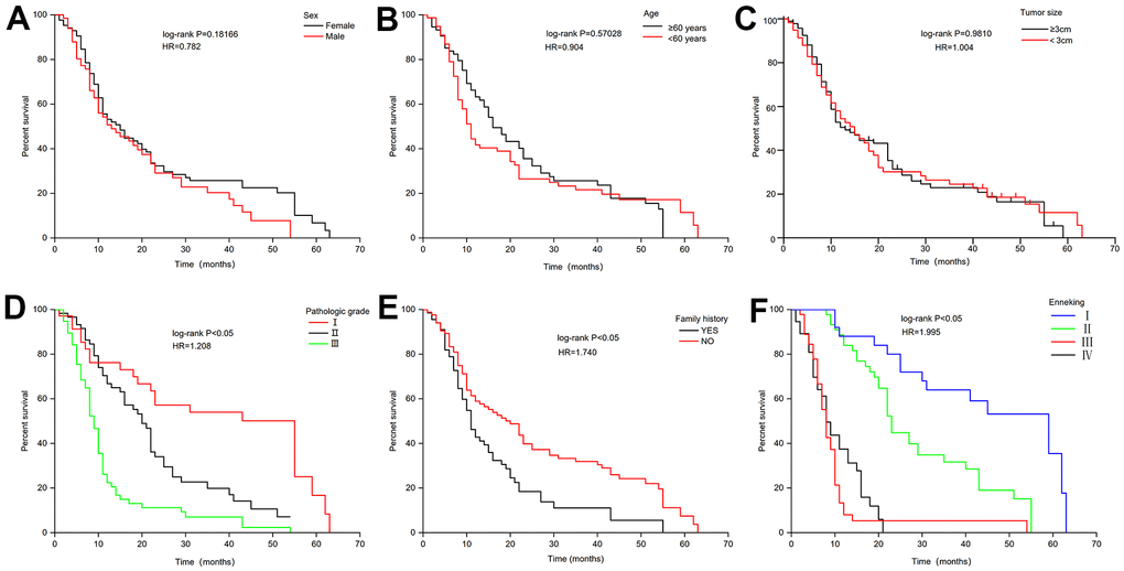 Effect of related characteristics on the overall survival of ccRCC. (A) Sex. (B) Age. (C) Tumor size. (D) Pathologic grade. (E) Family history. (F) Enneking Staging.