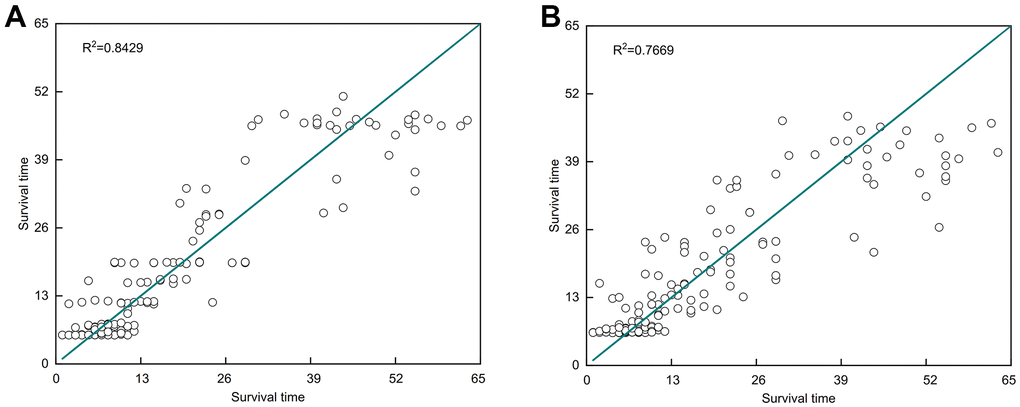 Strong correlation between the expression of FCGR2A and the survival time of ccRCC patients based on the BP neural network and support vector machine (SVM). (A) BP neural network. (B) SVM model.