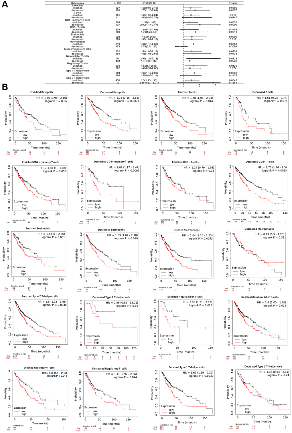 Comparison of Kaplan-Meier survival curves of the high and low expression of POSTN in immune cell subgroups in LUSC. A forest plot shows the prognostic value of POSTN expression based on different immune cell subgroups in LUSC (A). Correlations between the expression of POSTN and OS based on different immune cell subgroups in LUSC (B).