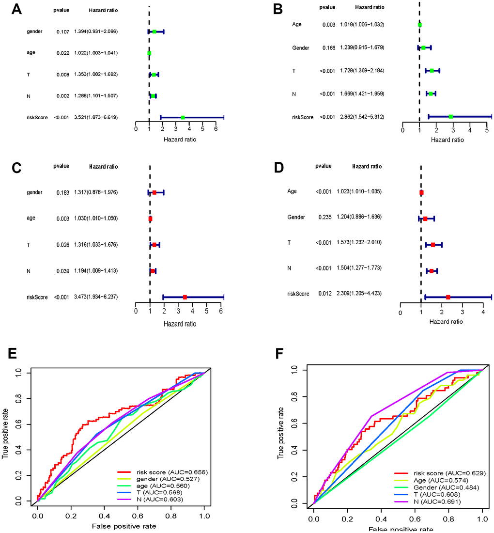 Cell cycle-associated genes significantly correlated with survival rates of GC patients. (A–D) Forrest plots of univariate and multivariate Cox regression analysis (E, F) OS sensitivity and specificity analysis for the risk score determined by the expression of seven genes in TCGA-STAD (E) and GSE84437 (F) based on ROC analysis.