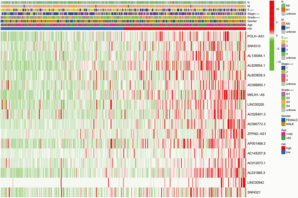 Heatmap showing the associations between clinicopathologic characteristics and risk groups, which discovered that the grade, T stage, and stage were all distributed differently between the high- and low-risk groups (green: low expression; red: high expression; ***P 