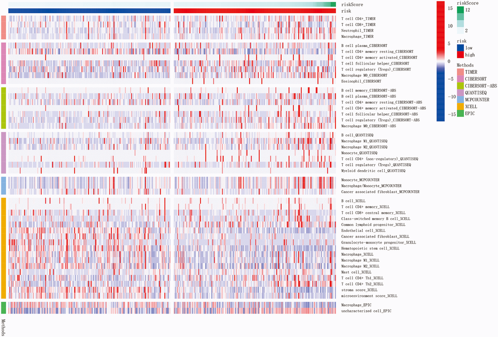 The immune cell infiltration landscape in HCC. Heatmap for immune cell infiltration landscape using TIMER, CIBERSORT, CIBERSORTABS, QUANTISEQ, MCPCOUNTER, XCELL, and EPIC algorithms in high and low risk groups (blue: low expression; red: high expression). Only items with significant differences will be presented, P-value 