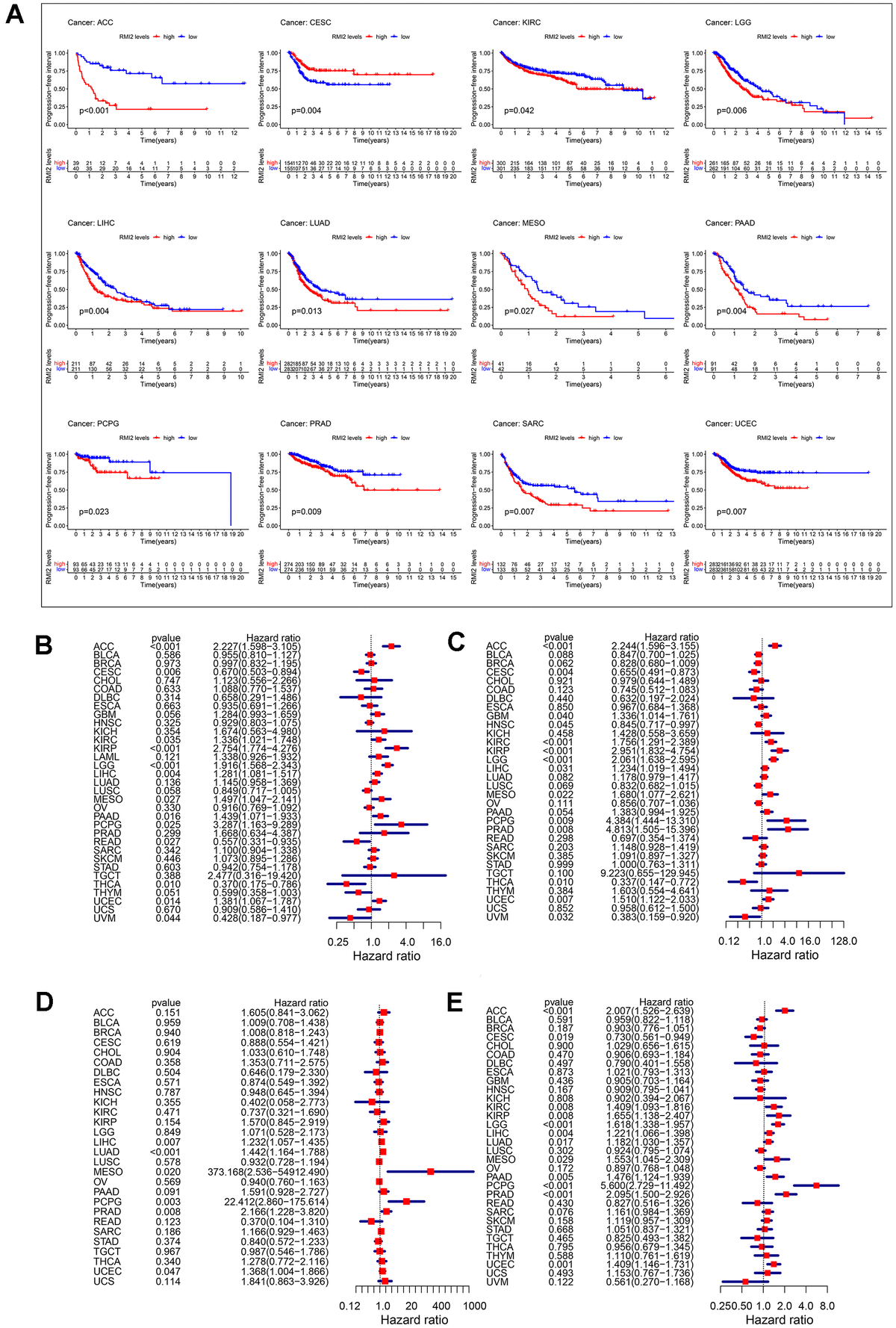 RecQ mediated genome instability 2 (RMI2): a potential prognostic and ...