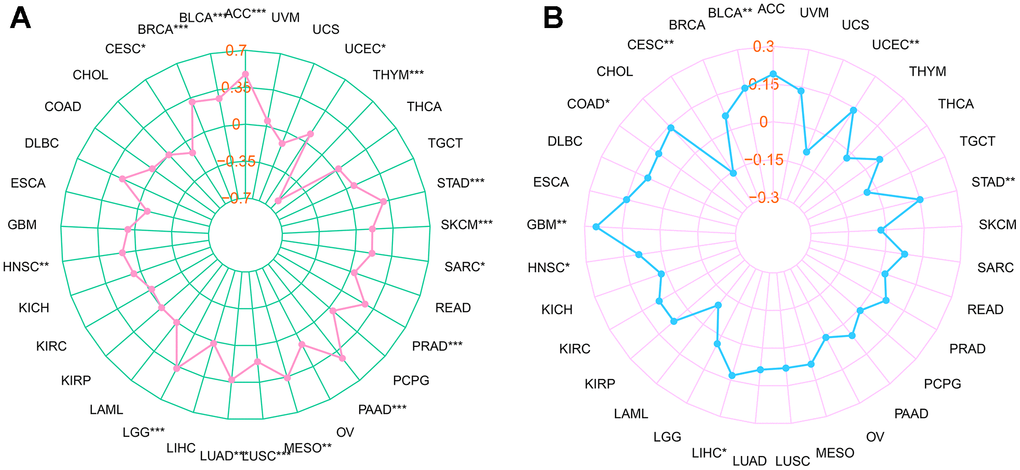 Relationship between RMI2 expression, TMB and MSI in pan-cancer. (A) The relationship between TMB and RMI2. (B) The relationship between MSI and RMI2. Spearman rank correlation test, p 