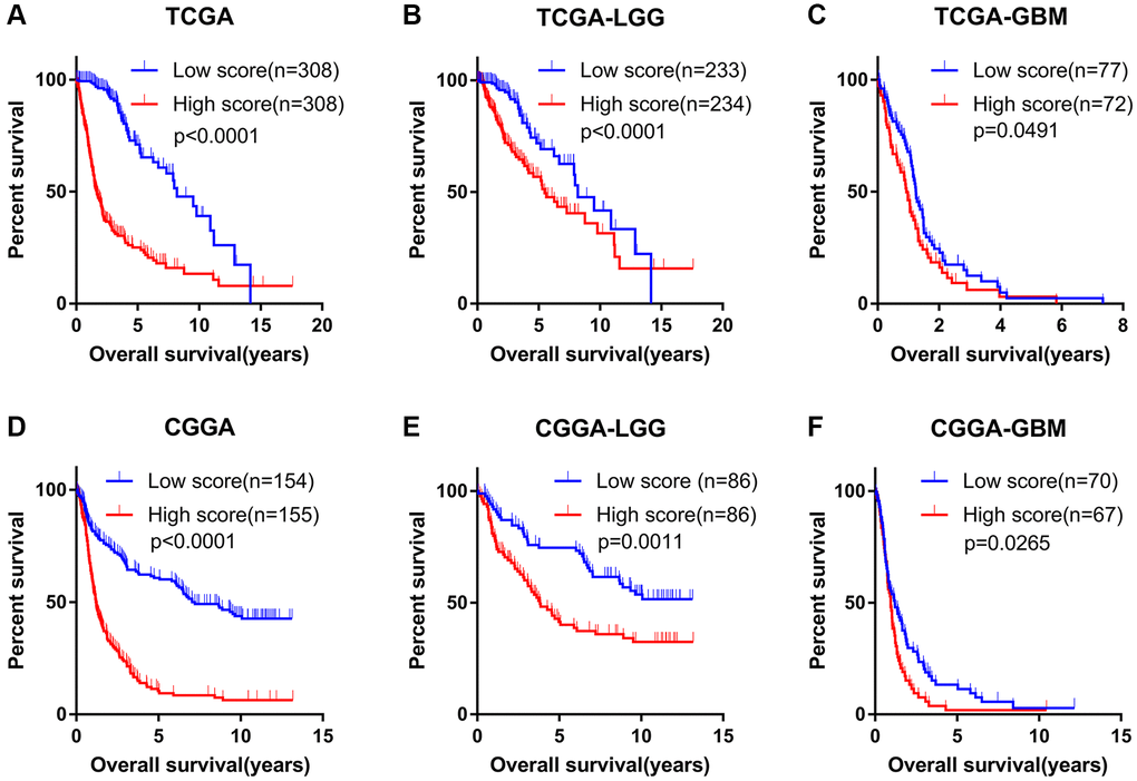 Angiogenesis score accurately predicted the prognosis of glioma patients. (A–C) The OS of high-score glioma (A), low grade glioma (LGG) (B) and glioblastoma (GBM) (C) patients was significantly shorter than that of the low-score group in the TCGA cohorts. (D–F) The OS of high-score glioma (D), low grade glioma (LGG) (E) and glioblastoma (GBM) (F) patients was significantly shorter than that of the low-score group in the CGGA cohorts.